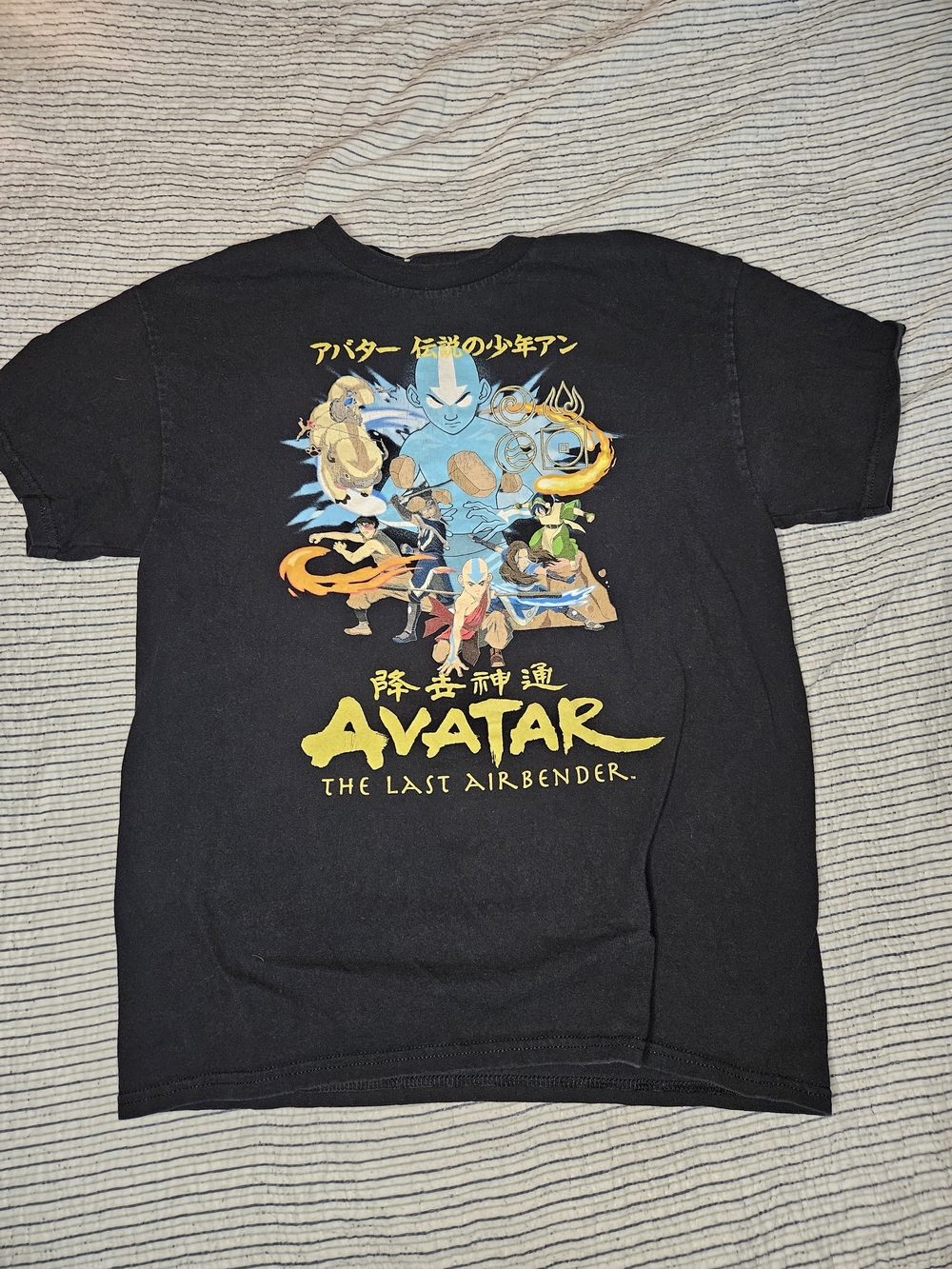 Avatar The Last Airbender Anime Japanese Graphic T-Shirt Black Adult Medium